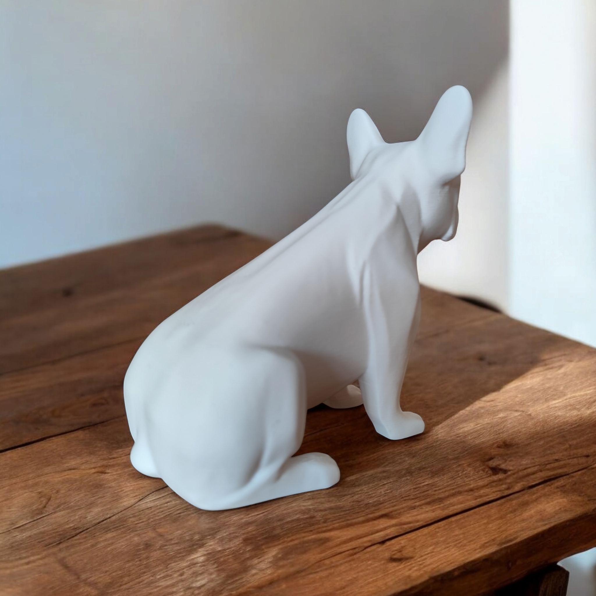 Fransk Bulldog - Billede 2