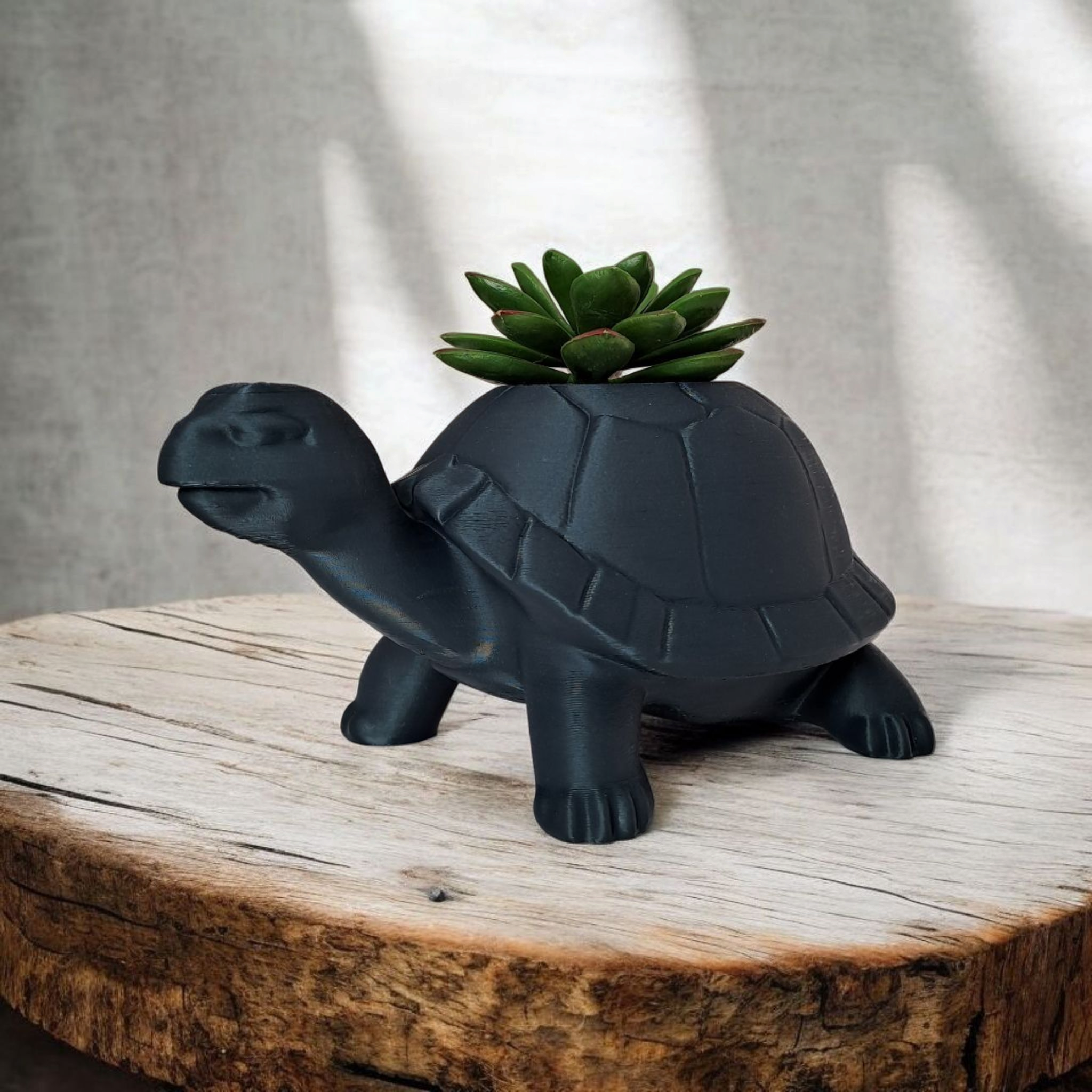 Charmerende Skildpadde-Potte