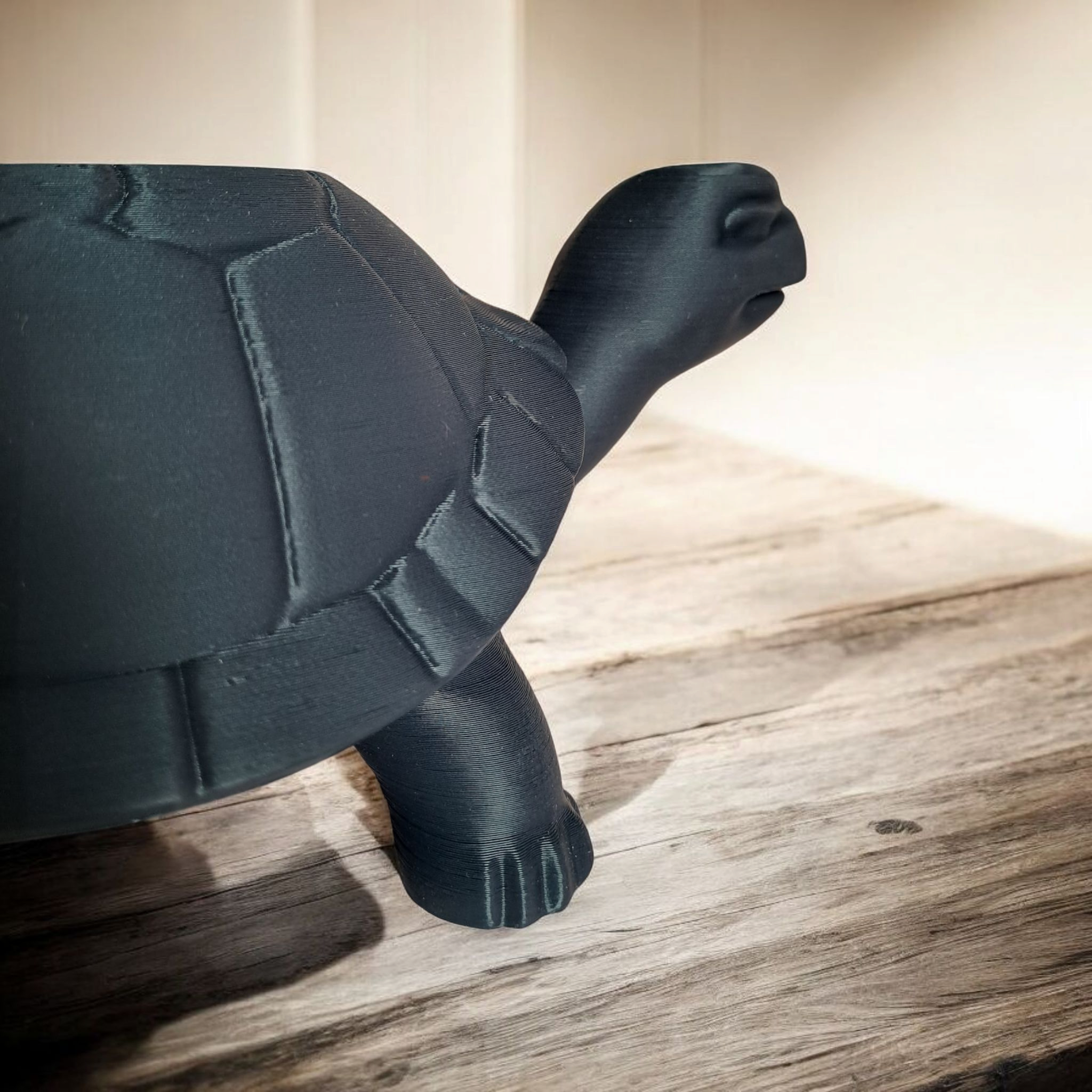 Charmerende Skildpadde-Potte - Billede 2